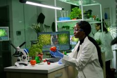 Medical team researcher working in pharmacology laboratory examining organic food checking genetic mutation after injecting with pesticides. Scientists checking dna medical expertise on computer